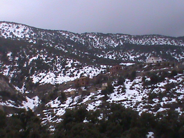 Neige ( Mars 2012 )