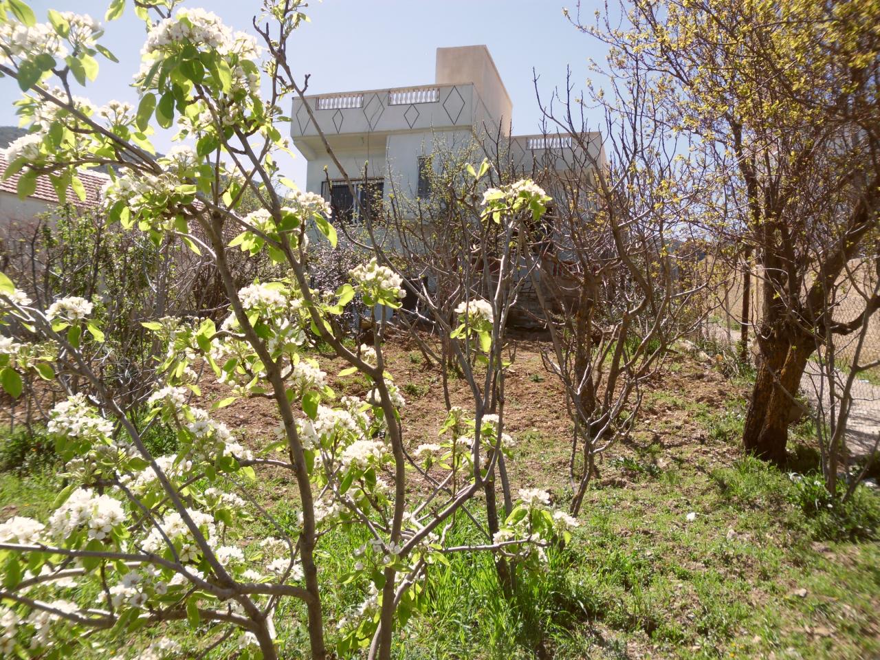 Tiguertndrar 09.04.2013