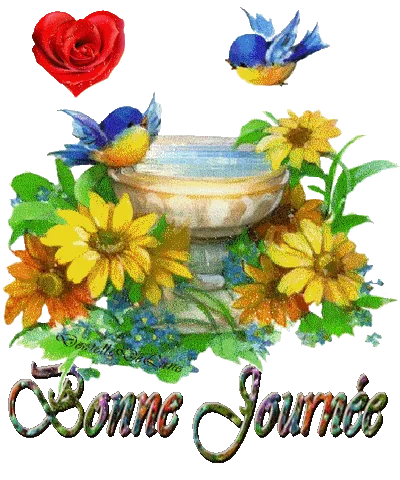 C7136e0b11456878e274cfa6ad99cd2f