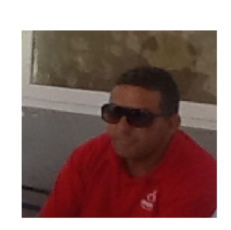 Kamel 1