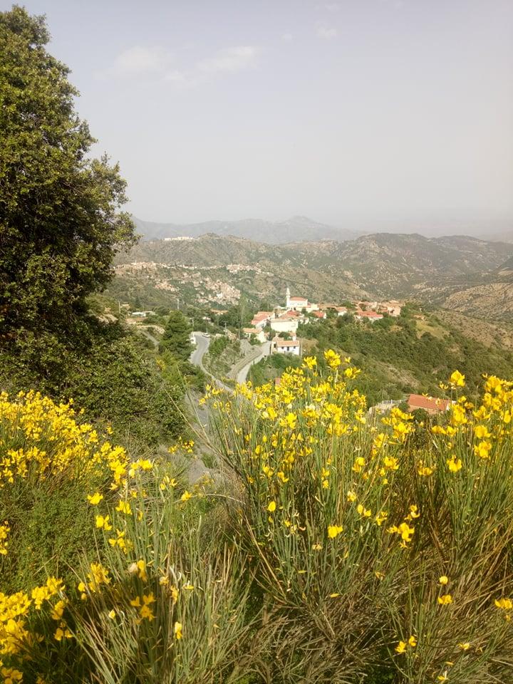 Tiguert 1